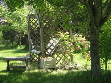 Herbs And Garden